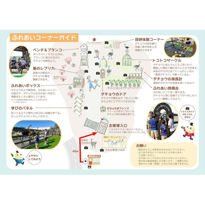 【ふるさと納税】牧場ふれあい体験＋博物館入館セット【お土産付き】 ／ ダチョウ チケット オーストリッチ 送料無料 埼玉県 No.210 サムネイル3