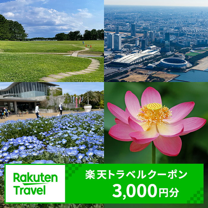 ふるさと納税　千葉県千葉市の対象施設で使える 楽天トラベルクーポン 寄付額10,000円(クーポン3,000円)　千葉 関東 宿泊 宿泊券 ホテル 旅館 旅行 旅行券 観光 トラベル チケット 旅 宿 券