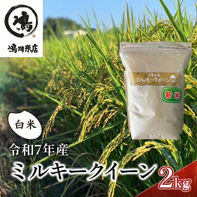 最短出荷 2日から7日以内に発送 米 令和7年 ミルキークイーン 2kg 千葉産 白米　【お米 粘り もっちり おにぎり お弁当】 ミルキークイーン こめ コメ おこめ