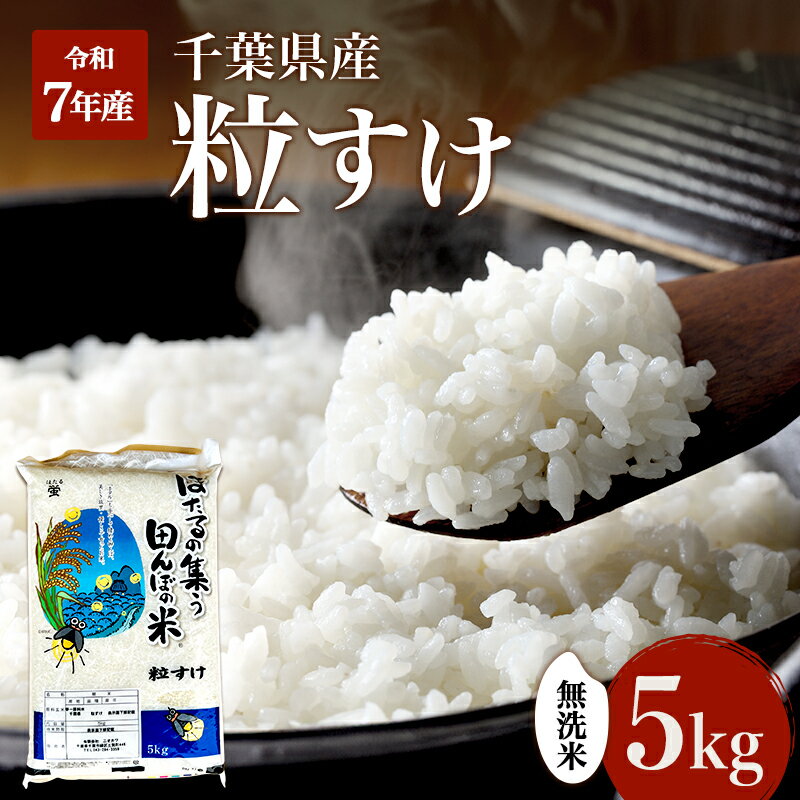 最短出荷 2日から7日以内に発送 無洗米 粒すけ 5kg 米 精米 白米 お米 おこめ コメ 単一原料米 新品種 お米マイスター ご飯 千葉市