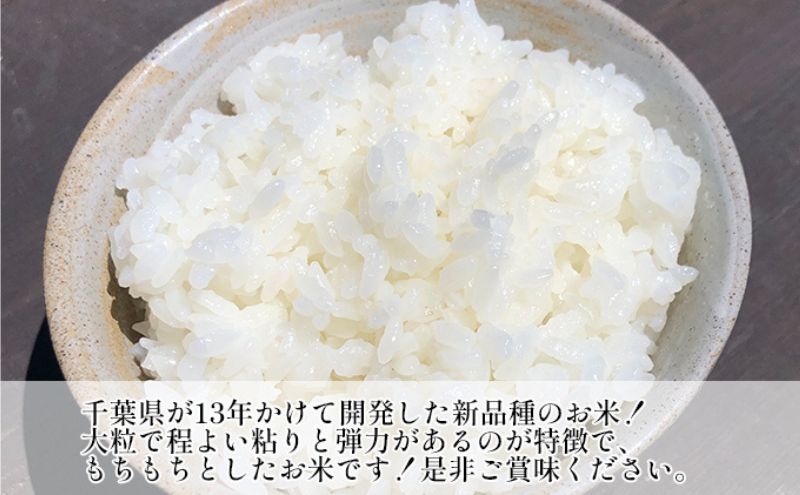 【ふるさと納税】最短出荷 2日から7日以内に発送 無洗米 粒すけ 5kg 米 精米 白米 お米 おこめ コメ 単一原料米 新品種 お米マイスター ご飯 千葉市 - 画像3