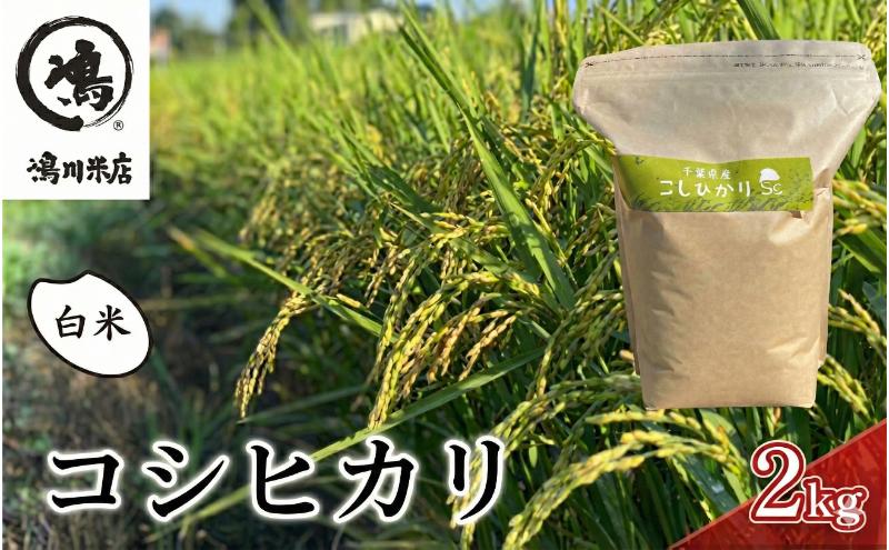 【ふるさと納税】最短出荷 2日から7日以内に発送 千葉産 コシヒカリ 白米 2kg　【 お米 コシヒカリ 米 白米 2kg 】 - 画像2