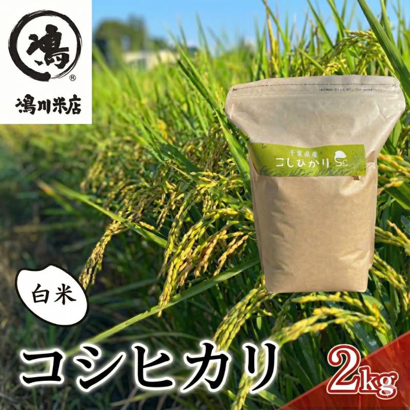 最短出荷 2日から7日以内に発送 千葉産 コシヒカリ 白米 2kg　【 お米 コシヒカリ 米 白米 2kg 】