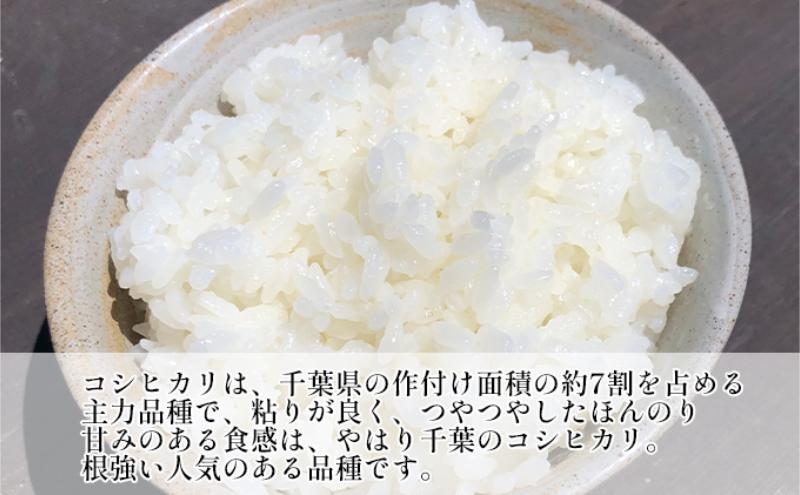 【ふるさと納税】最短出荷 2日から7日以内に発送 千葉産 コシヒカリ 白米 2kg　【 お米 コシヒカリ 米 白米 2kg 】 - 画像3