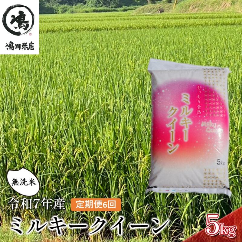 ミルキークイーン 6ヶ月　定期便 令和7年 乾式無洗米　5kg×6ヶ月 お米 精米 白米 ライス ご飯 ブランド米 おにぎり お弁当 和食 産地直送 モチモチ 粘り 冷めてもおいしい