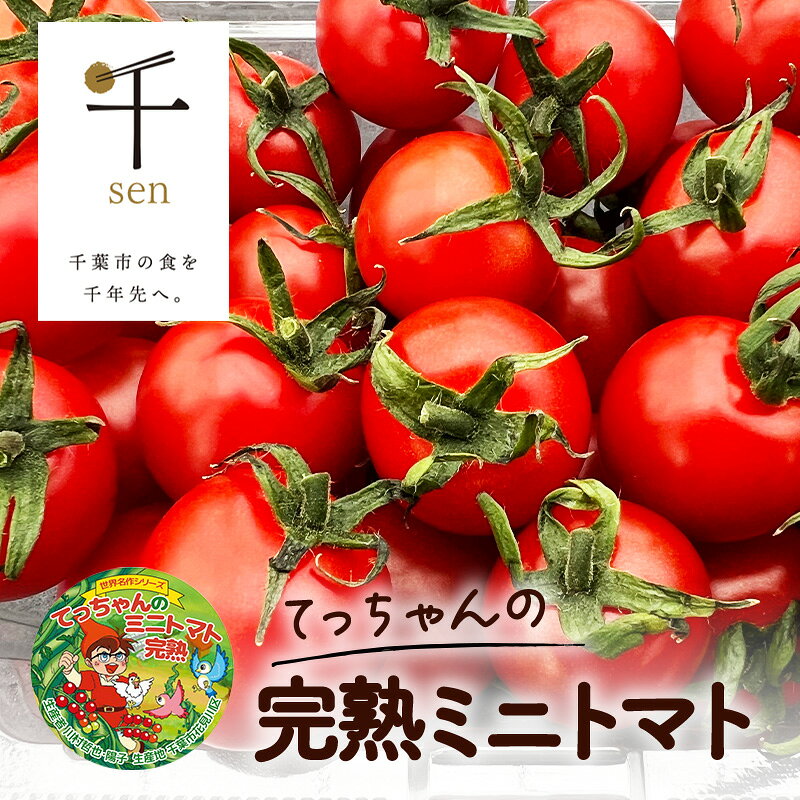 てっちゃんの完熟ミニトマト1kg採れたて農園直送 野菜 千 ブランド 酸味 甘味 美味しい プチトマト 子供 お弁当 お昼 サラダ 　お届け：2026年1月15日～2026年6月15日