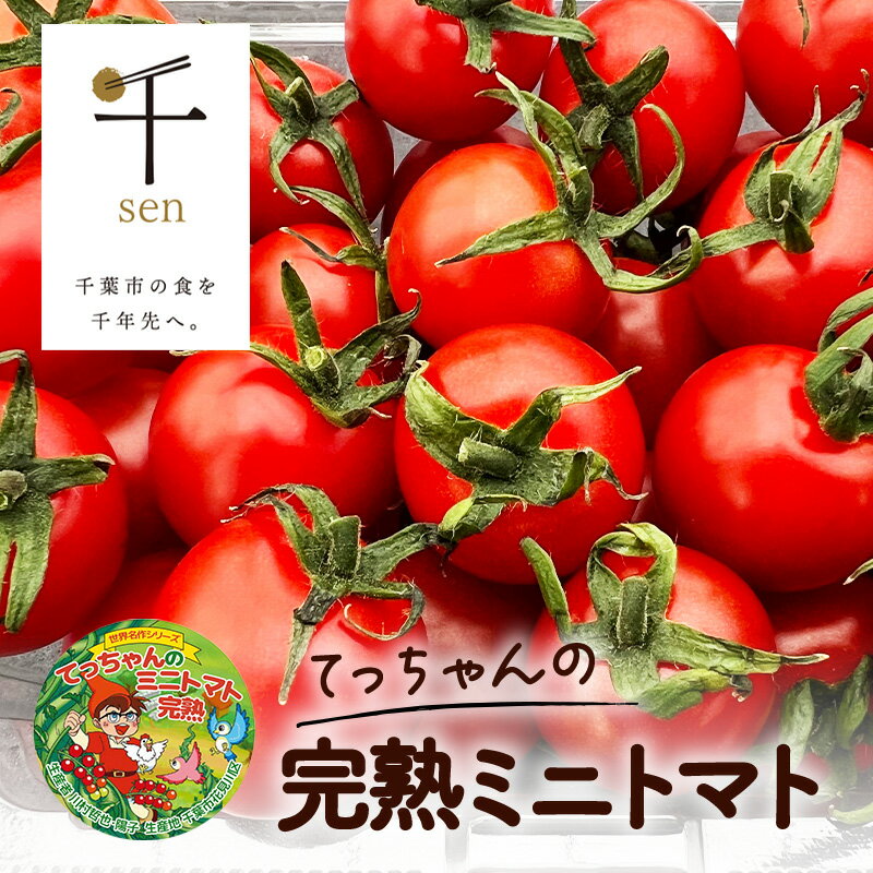 てっちゃんの完熟ミニトマト2kg採れたて農園直送 野菜 千 ブランド 酸味 甘味 美味しい プチトマト 子供 お弁当 お昼 サラダ 　お届け：2026年1月15日～2026年6月15日