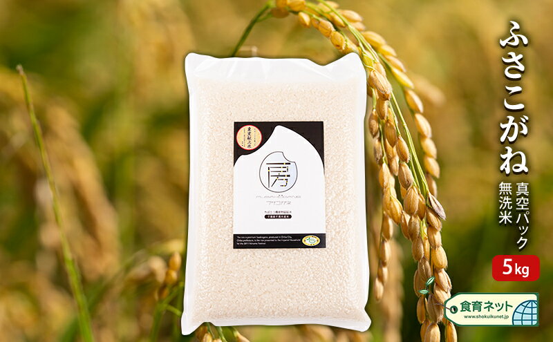【ふるさと納税】ふさこがね　真空パック　5キロ　無洗米 お米 銘柄米 ご飯 おにぎり お弁当 和食 白米 精米 - 画像2