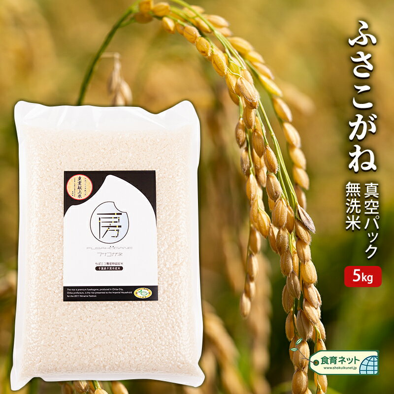 ふさこがね　真空パック　5キロ　無洗米 お米 銘柄米 ご飯 おにぎり お弁当 和食 白米 精米