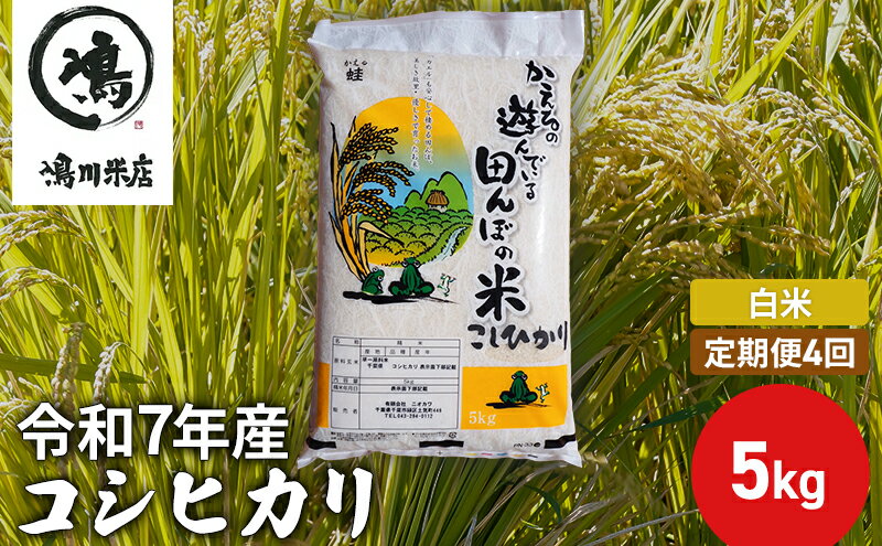 【ふるさと納税】【定期4ヶ月】コシヒカリ　白米　5kg　令和7年産 お米 銘柄米 ご飯 おにぎり お弁当 和食 食卓 精米 国産 千葉県産 産地直送 - 画像2