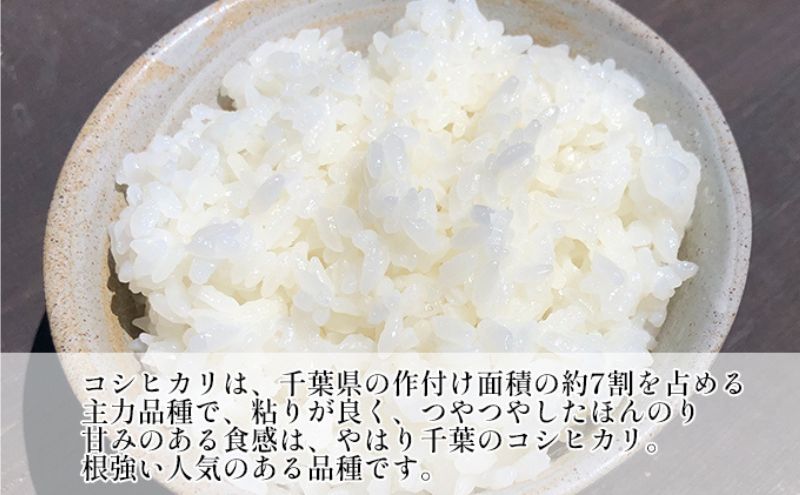【ふるさと納税】【定期4ヶ月】コシヒカリ　白米　5kg　令和7年産 お米 銘柄米 ご飯 おにぎり お弁当 和食 食卓 精米 国産 千葉県産 産地直送 - 画像3