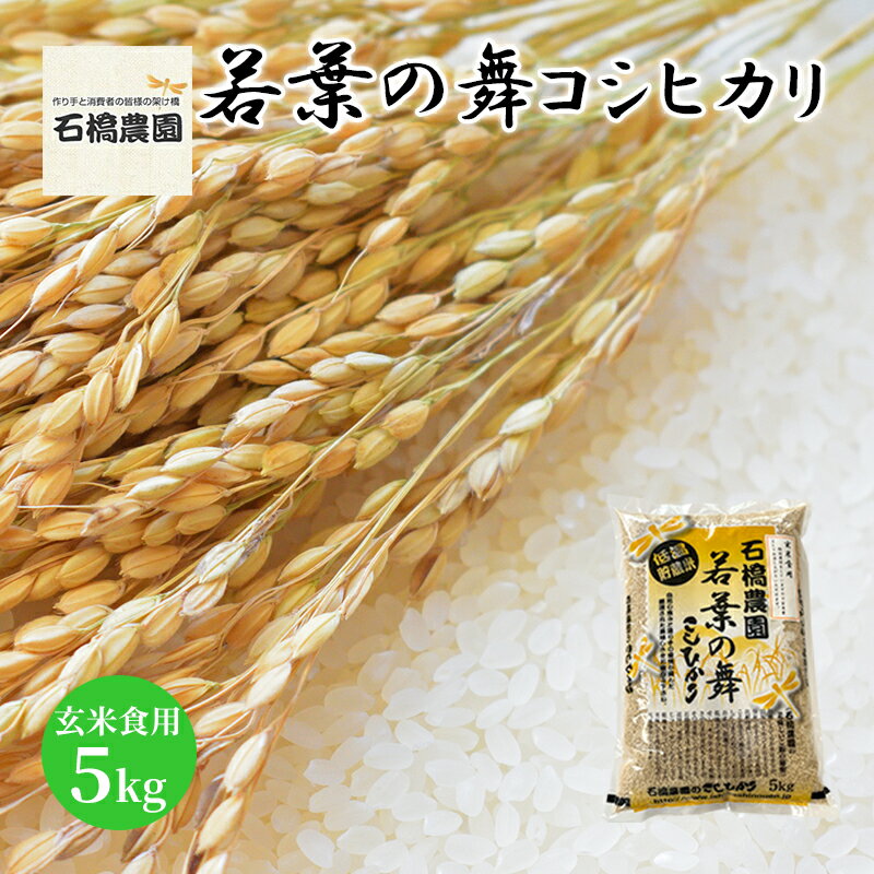 米 若葉の舞 コシヒカリ 玄米食用5kg こしひかり お米 玄米 千葉 千葉県 低温保存