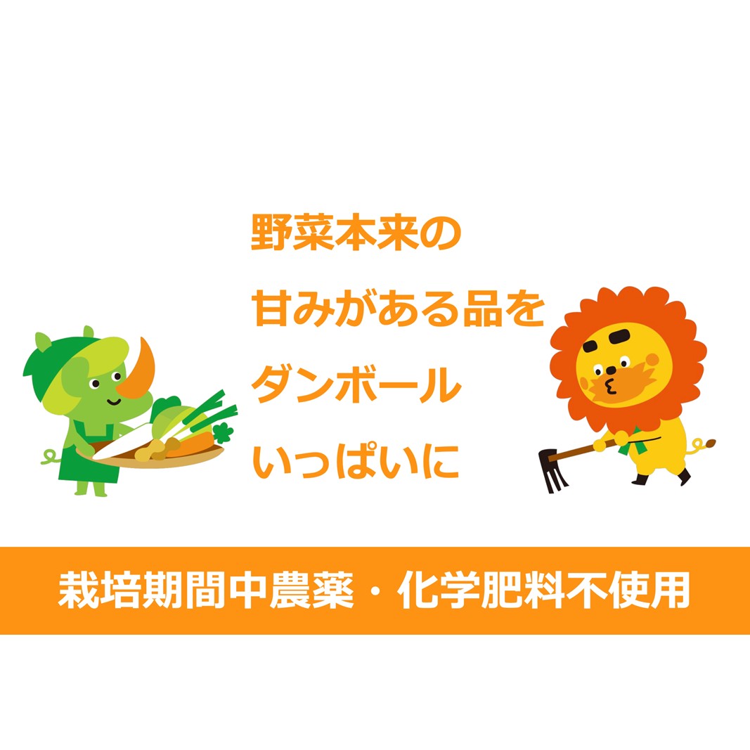 野菜 定期便 3ヶ月 1名様向け 野菜5種 セット 旬の野菜 生野菜 やさい 新鮮 鮮度 産地直送 詰め合わせ 冷蔵 千葉 定期 お楽しみ 3回