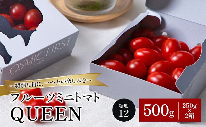 【ふるさと納税】フルーツミニトマトQUEEN 500g(250g×2箱) トマト ミニトマト 国産 野菜 糖度12 濃厚 千葉市 千葉県 - 画像2