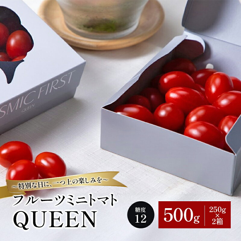 フルーツミニトマトQUEEN 500g(250g×2箱) トマト ミニトマト 国産 野菜 糖度12 濃厚 千葉市 千葉県