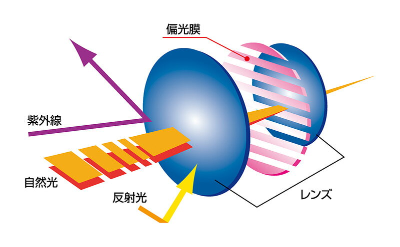 【ふるさと納税】跳ね上げ式/「偏光」前掛けサングラス　側面から入り込む光や風をしっかりガード、天地広めのワイドタイプ　「BV-56」　レンズカラー：(2)偏光ブラウン サムネイル3