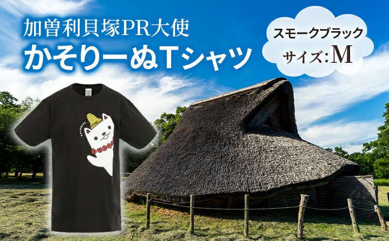 【ふるさと納税】加曽利貝塚 PR大使 かそりーぬ Tシャツ/スモークブラック/Mサイズ オリジナル Tシャツ 綿 100％ 半袖 男女兼用 千葉市　お届け：2025年4月15日～2026年1月15日まで サムネイル2