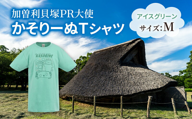 【ふるさと納税】加曽利貝塚 PR大使 かそりーぬ Tシャツ/アイスグリーン/Mサイズ オリジナル Tシャツ 綿 100％ 半袖 男女兼用 千葉市　お届け：2025年4月15日～2026年1月15日まで サムネイル2