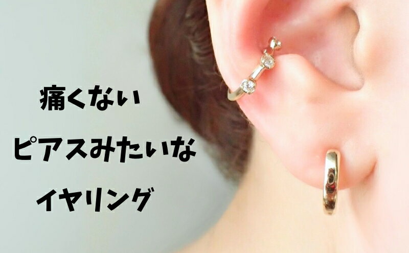 【ふるさと納税】Degodd デゴッド　落ちないイヤリング　GLプレーン　イヤリング　痛くない サムネイル2