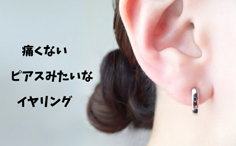 【ふるさと納税】Degodd デゴッド　落ちないイヤリング　SVプレーン　小さいイヤリング　シンプル　仕事用　アクセサリー サムネイル2