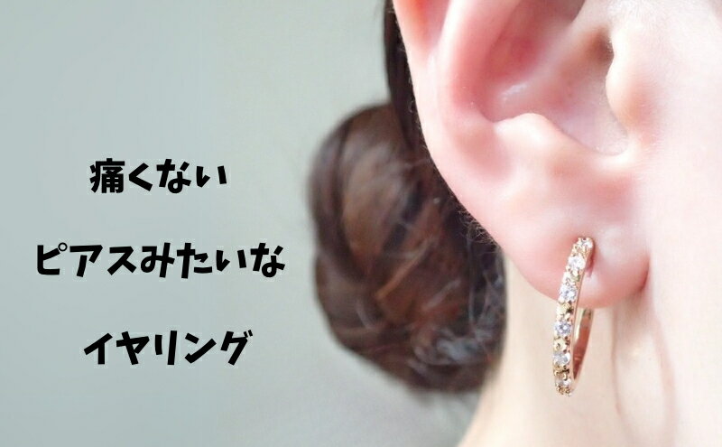 【ふるさと納税】Degodd デゴッド　落ちないイヤリング　フープM　石入り　GL　痛くないイヤリング　ノンホールピアス　フープ　レディースアクセサリー サムネイル2