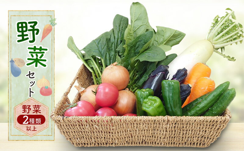 【ふるさと納税】野菜セット 野菜2種類以上 野菜 季節の野菜 セット 産地直送 新鮮 野菜農家 季節 詰め合わせ 産直 国産 お楽しみ おまかせセット 千葉市 - 画像2