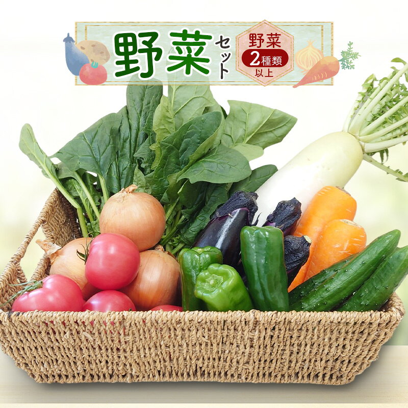 野菜セット 野菜2種類以上 野菜 季節の野菜 セット 産地直送 新鮮 野菜農家 季節 詰め合わせ 産直 国産 お楽しみ おまかせセット 千葉市