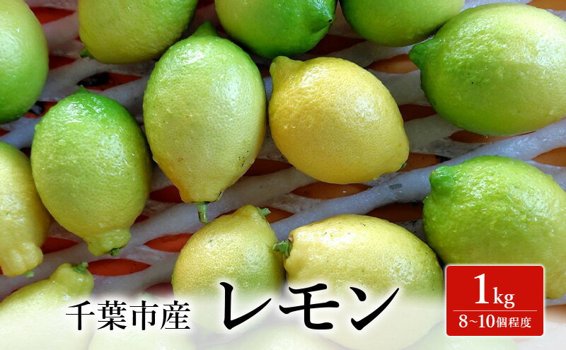 【ふるさと納税】レモン 1kg 果物 フルーツ 国産 千葉市 サムネイル2