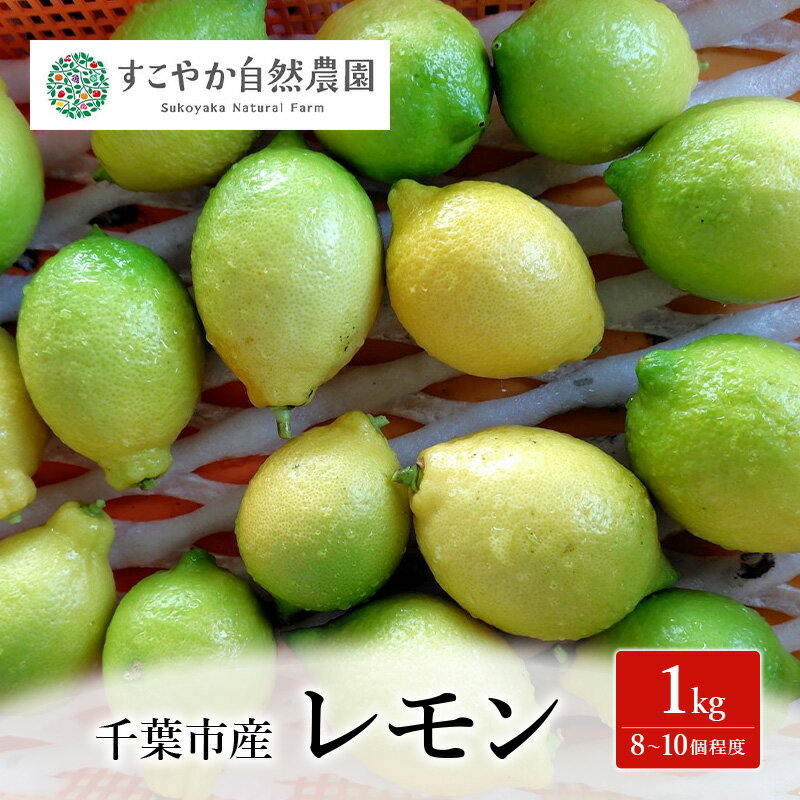 レモン 1kg 果物 フルーツ 国産 千葉市