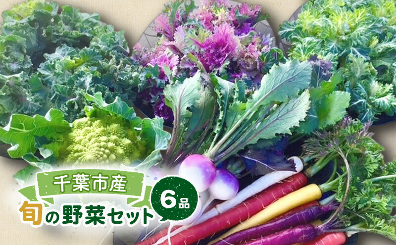【ふるさと納税】旬の野菜セット 6品 野菜 野菜セット 野菜詰め合わせ 詰め合わせ やさい 千葉市 千葉県 - 画像2