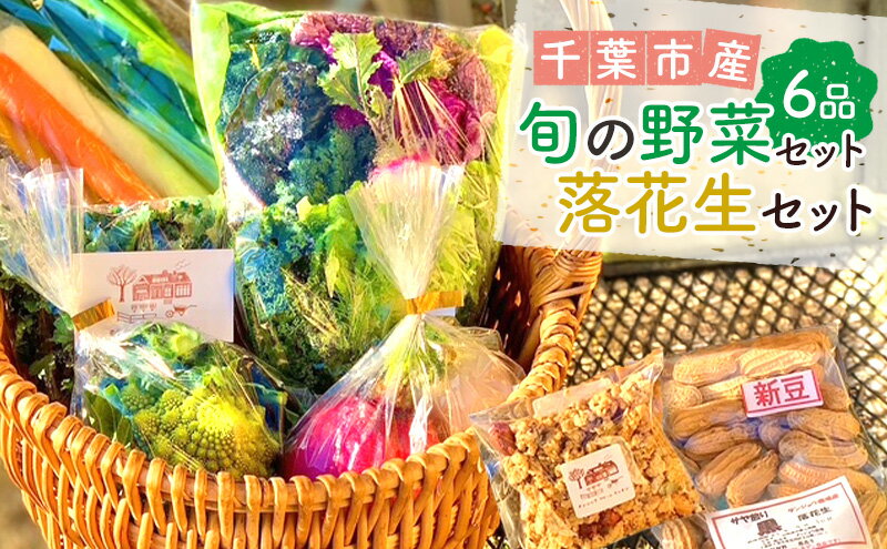 【ふるさと納税】旬の野菜セット6品 落花生 セット 野菜 野菜セット 野菜詰め合わせ 詰め合わせ やさい 千葉市 千葉県 - 画像2