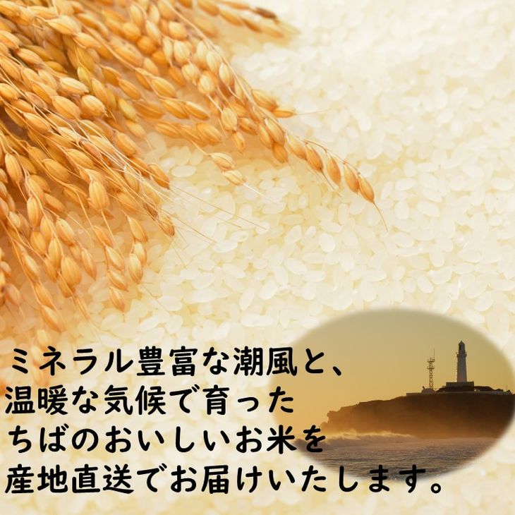 【ふるさと納税】 令和7年産【無洗米】 コシヒカリ 10kg ( 5kg ×2 ) 千葉県産 こしひかり おいしい お米 無洗米 白米 精米 米 1等米 五つ星 お米マイスター 厳選 お取り寄せ 贈り物 グルメ お米 おこめ こめ ご飯 ごはん 千葉県 銚子市 - 画像3