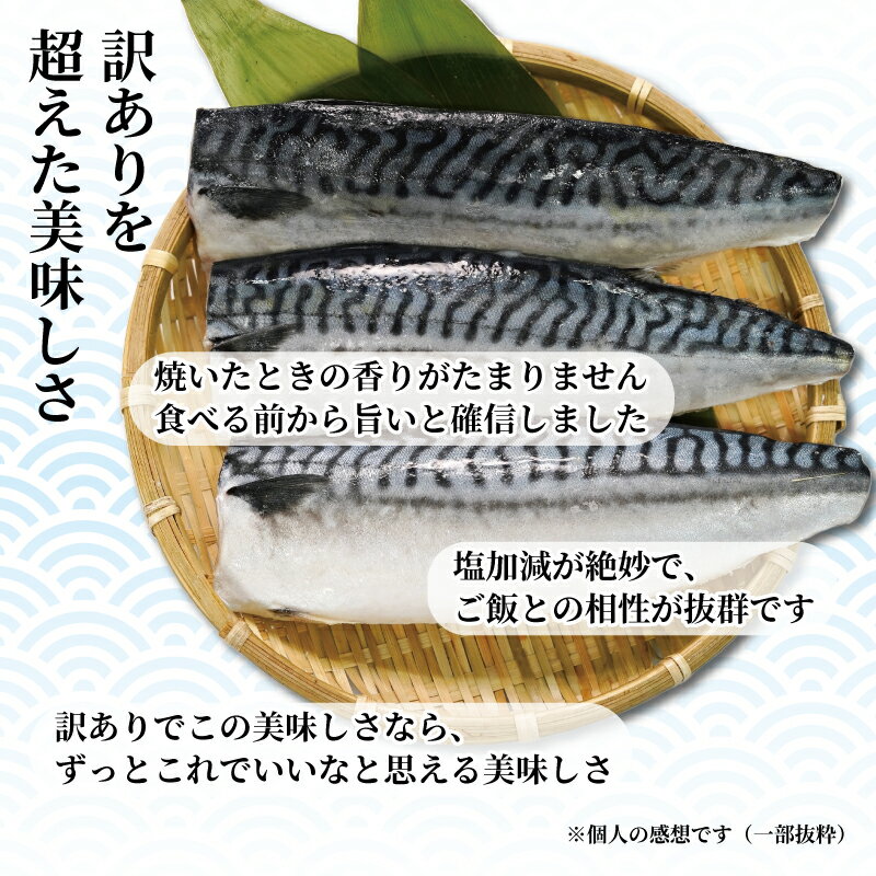 【ふるさと納税】 訳あり 塩サバ フィーレ 【選べる内容量】 約3kg 約3.5kg 約5kg 鯖 さば 大容量 人気 規格外 贈答 贈物 プレゼント ギフト お取り寄せ グルメ 焼鯖 惣菜 魚 海鮮 魚貝 魚介 冷凍 冷凍食品 ふるさと納税 ふるさと納税鯖 送料無料 千葉県 銚子市 銚子東洋 サムネイル3