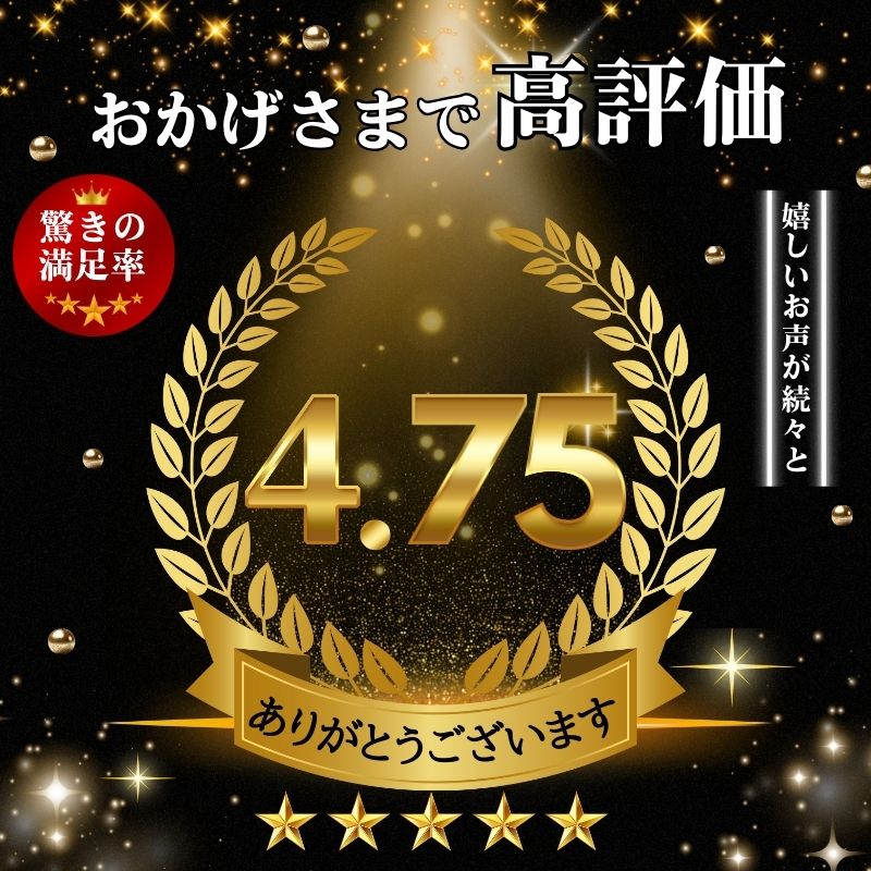 【ふるさと納税】 訳あり トロ 塩さば 約 3kg 鯖 さば 冷凍 食品 小分け 大容量 人気 魚 魚介 魚貝 海鮮 弁当 惣菜 おかず おつまみ 贈答 プレゼント ギフト お取り寄せ グルメ 送料無料 不揃い 規格外 ふるさと納税 ふるさと納税鯖 千葉県 銚子市 飯田商店 iidachoshi サムネイル3