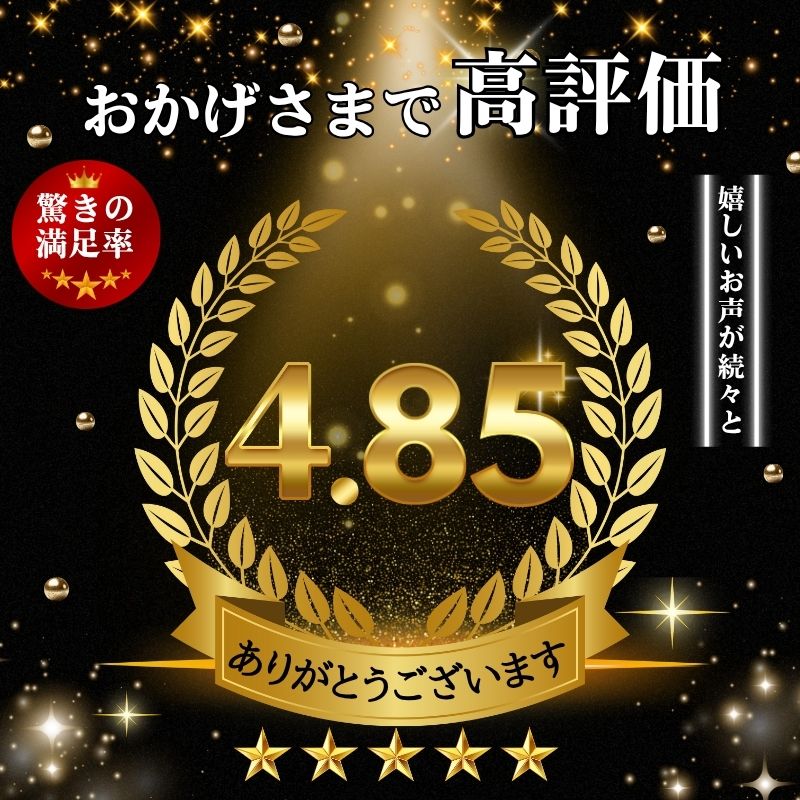【ふるさと納税】 訳あり 骨取り 無塩さば 約 2kg 鯖 さば 無塩 骨なし 骨抜き 冷凍 食品 小分け 大容量 人気 魚 魚介 魚貝 海鮮 惣菜 贈答 ギフト お取り寄せ 送料無料 不揃い 規格外 ふるさと納税鯖 千葉県 銚子市 飯田商店 iidachoshi サムネイル3