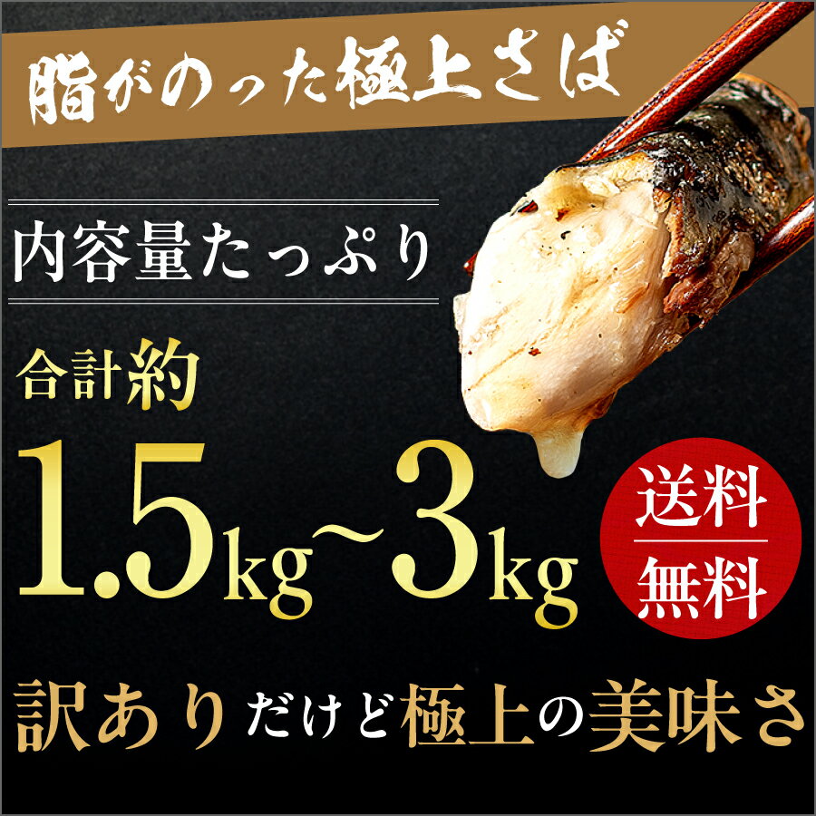 【ふるさと納税】 訳あり トロ 塩さば 【選べる容量】約 1.5kg・約 3kg 鯖 さば 冷凍 食品 小分け 大容量 人気 魚 魚介 魚貝 海鮮 おかず 贈答 プレゼント ギフト お取り寄せ グルメ 送料無料 不揃い 規格外 ふるさと納税 ふるさと納税鯖 千葉県 銚子市 飯田商店 iidachoshi - 画像3