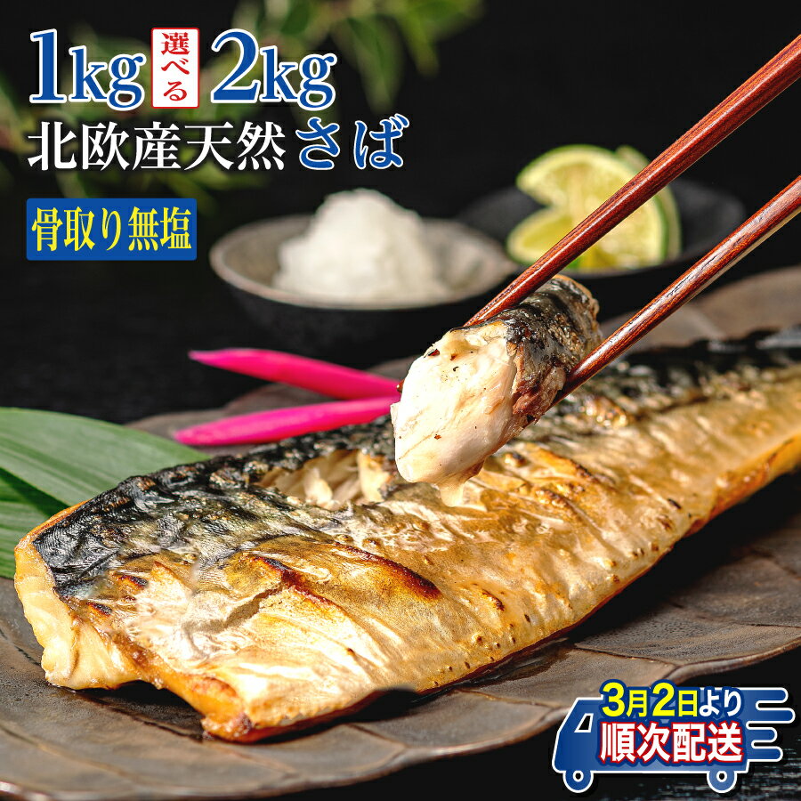 訳あり 骨取り 無塩さば 約1.0kg・約2.0kg 鯖 さば 無塩 骨なし 骨抜き 冷凍 食品 小分け 大容量 人気 魚 魚介 魚貝 海鮮 惣菜 贈答 ギフト お取り寄せ 送料無料 不揃い 規格外 ふるさと納税 ふるさと納税鯖 千葉県 銚子市 飯田商店 iidachoshi