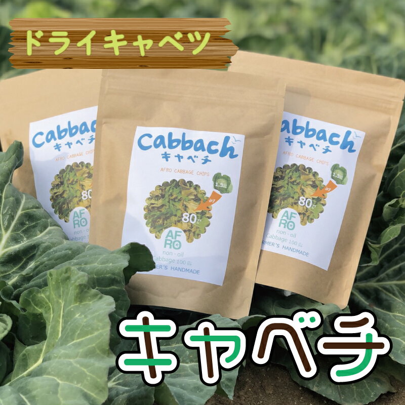 【先行予約】 ドライキャベツ キャベチ 3袋（2026年1月～配送）キャベツ アフロキャベツ 訳あり おつまみ お菓子 おやつ 野菜 銚子産 千葉県産 春キャベツ 生産量 旬の野菜 旬の味覚 甘い スープ カップラーメン 送料無料 千葉県 銚子市 くるくるやっほー