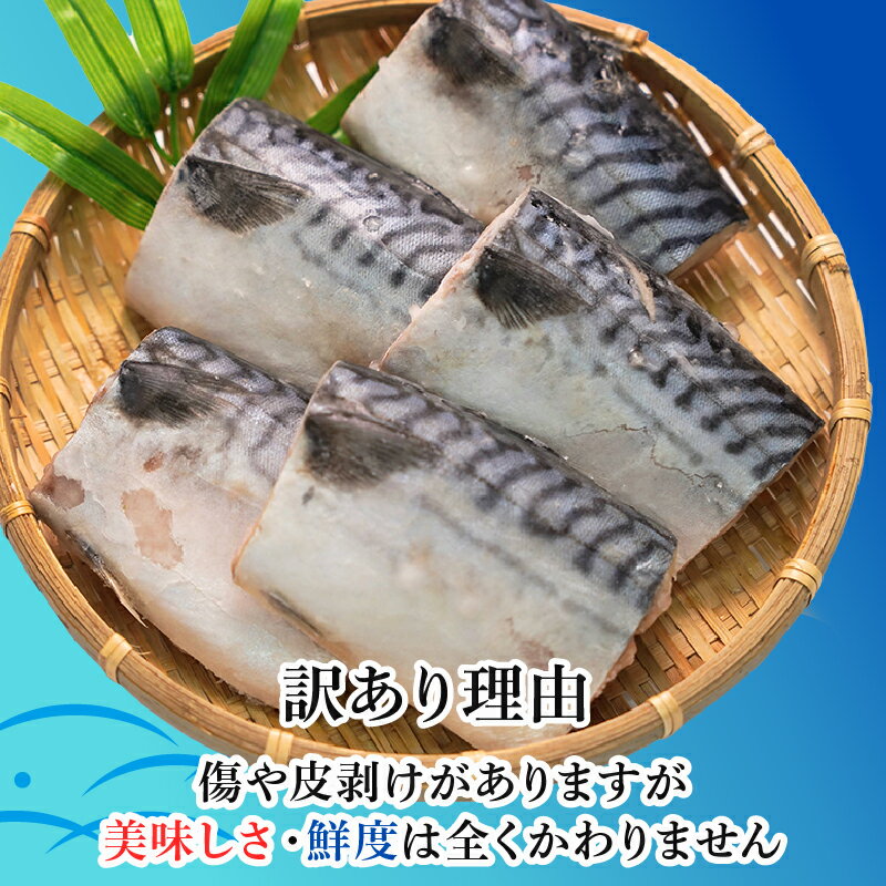 【ふるさと納税】 訳あり 熟成塩サバ切身 約3.5kg 【選べる配送時期】 さば 鯖 サバ 塩さば 塩鯖 切身 青魚 魚 海鮮 魚介 おつまみ おかず 惣菜 大容量 惣菜 熟成 規格外 サイズ 傷 不揃い お取り寄せ 便利 ふるさと納税 ふるさと納税さば 冷凍 千葉県 銚子市 カネジョウ大崎 サムネイル2
