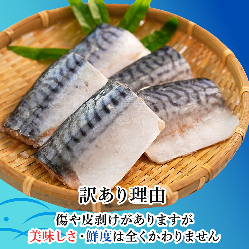 【ふるさと納税】 訳あり 塩サバ 腹骨取り 切身 約 3.5kg 【選べる配送時期】 さば 鯖 塩さば 塩鯖 切身 魚 海鮮 魚介 おかず 大容量 熟成 傷 不揃い 人気 お取り寄せ ふるさと納税 ふるさと納税鯖 ふるさと納税さば 冷凍 送料無料 千葉県 銚子市 カネジョウ大崎 サムネイル2
