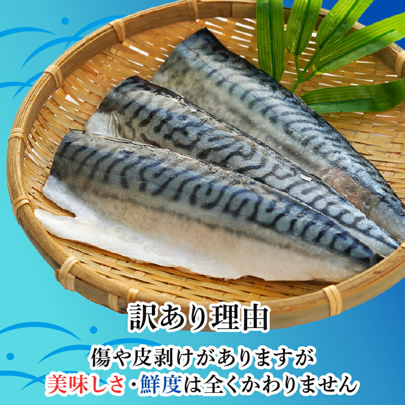 【ふるさと納税】 訳あり 塩サバ 腹骨取り 約3.5kg フィレ 鯖 さば サバ 塩鯖 魚 海鮮 魚介 おつまみ おかず 惣菜 弁当 大容量 人気 不揃い 規格外 傷 食品 お取り寄せ 塩さば フィーレ ふるさと納税 ふるさと納税さば 冷凍 千葉県 銚子市 カネジョウ大崎 - 画像2