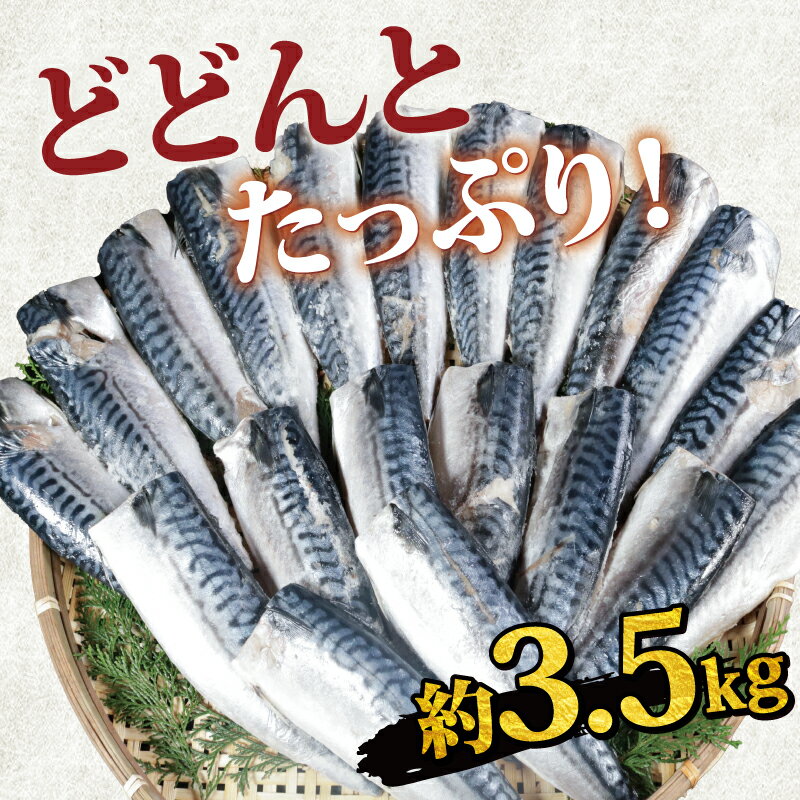【ふるさと納税】 訳あり 食塩不使用 厚切 とろ さば 約3.5kg 大容量 冷凍 バラ凍結 鯖 さば 切身 人気 おすすめ 魚 魚貝 魚介 海鮮 無添加 おかず つまみ 惣菜 贈答 贈り物 プレゼント お取り寄せ グルメ ふるさと納税 ふるさと納税鯖 送料無料 千葉県 銚子市 カネジョウ サムネイル2
