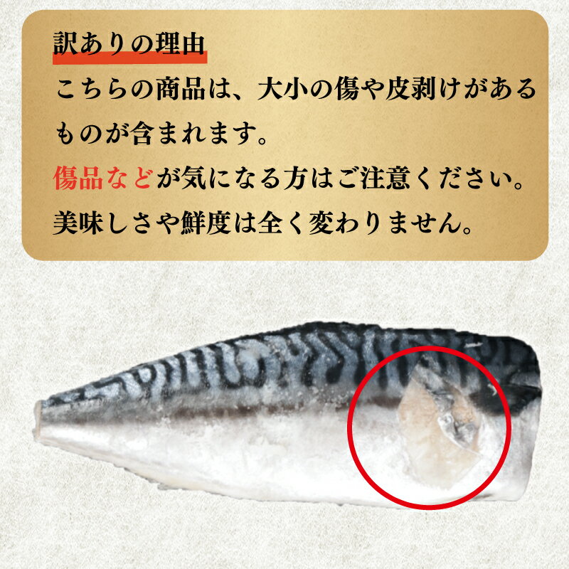 【ふるさと納税】 訳あり 食塩不使用 厚切 とろ さば 約3.5kg 大容量 冷凍 バラ凍結 鯖 さば 切身 人気 おすすめ 魚 魚貝 魚介 海鮮 無添加 おかず つまみ 惣菜 贈答 贈り物 プレゼント お取り寄せ グルメ ふるさと納税 ふるさと納税鯖 送料無料 千葉県 銚子市 カネジョウ サムネイル3
