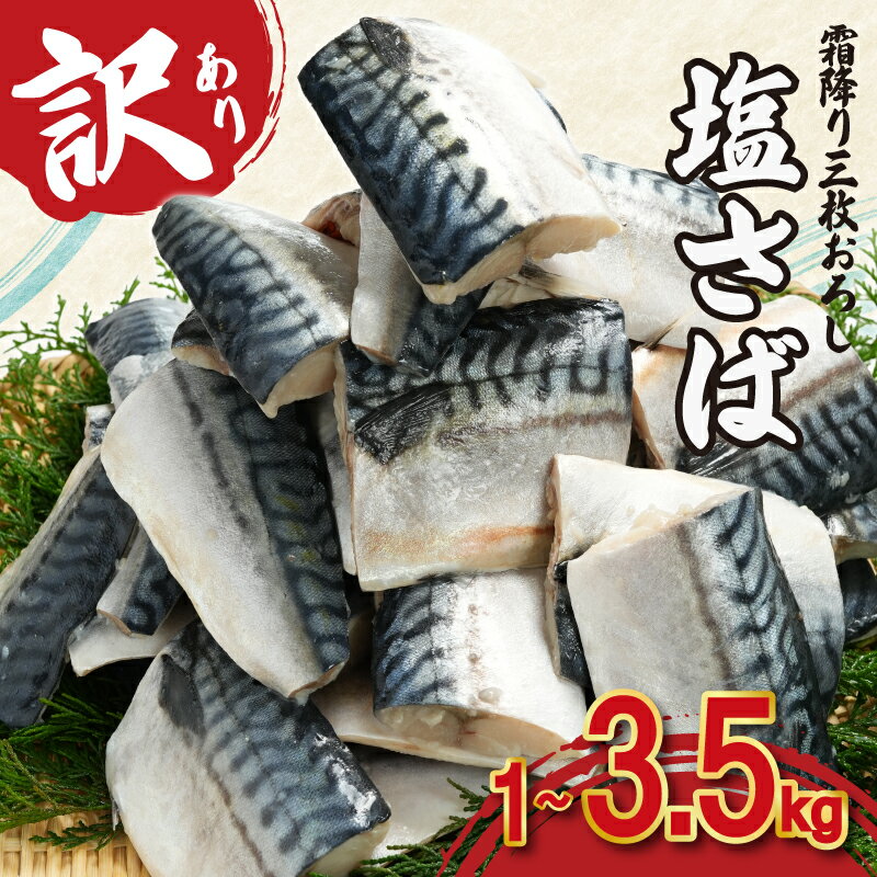 訳あり 霜降り 塩サバ 三枚卸 約 1kg ～ 約 3.5kg 【 選べる 容量 】 切身 切り身 大容量 塩鯖 鯖 サバ トロ 人気 たっぷり 不揃い 規格外 海鮮 グルメ お取り寄せ 贈答 ギフト 小分け バラ凍結 ふるさと納税鯖 冷凍 送料無料 千葉県 銚子市 カネジョウ