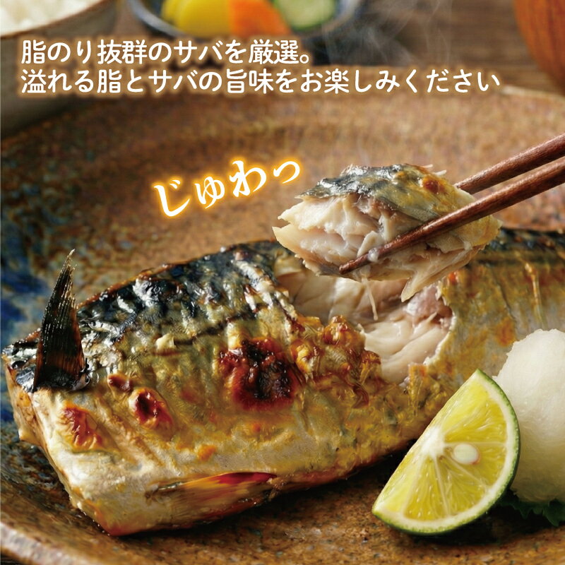 【ふるさと納税】 訳あり 無塩 厚切 とろ さば 約 3.5kg 大容量 たっぷり 規格外 冷凍 バラ凍結 鯖 切り身 切身 厚 人気 おすすめ 魚 魚貝 魚介 海鮮 無添加 おかず 惣菜 贈答 贈り物 プレゼント お取り寄せ グルメ ふるさと納税鯖 送料無料 千葉県 銚子市 カネジョウ - 画像3