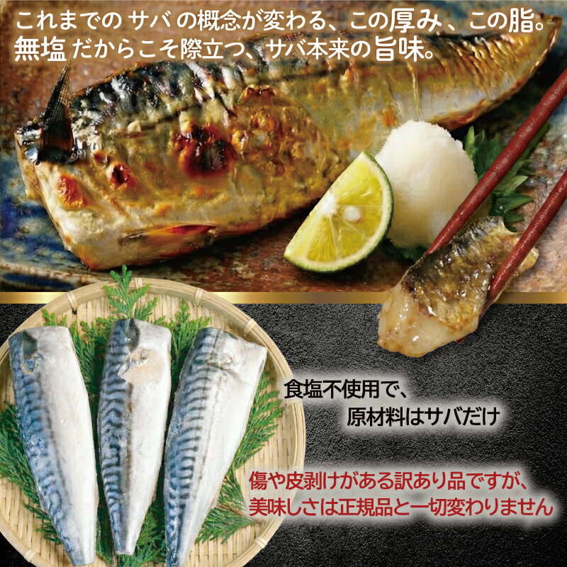 【ふるさと納税】 訳あり 無塩 厚切 とろ さば 約 3.5kg 大容量 たっぷり 規格外 冷凍 バラ凍結 鯖 切り身 切身 厚 人気 おすすめ 魚 魚貝 魚介 海鮮 無添加 おかず 惣菜 贈答 贈り物 プレゼント お取り寄せ グルメ ふるさと納税鯖 送料無料 千葉県 銚子市 カネジョウ - 画像2
