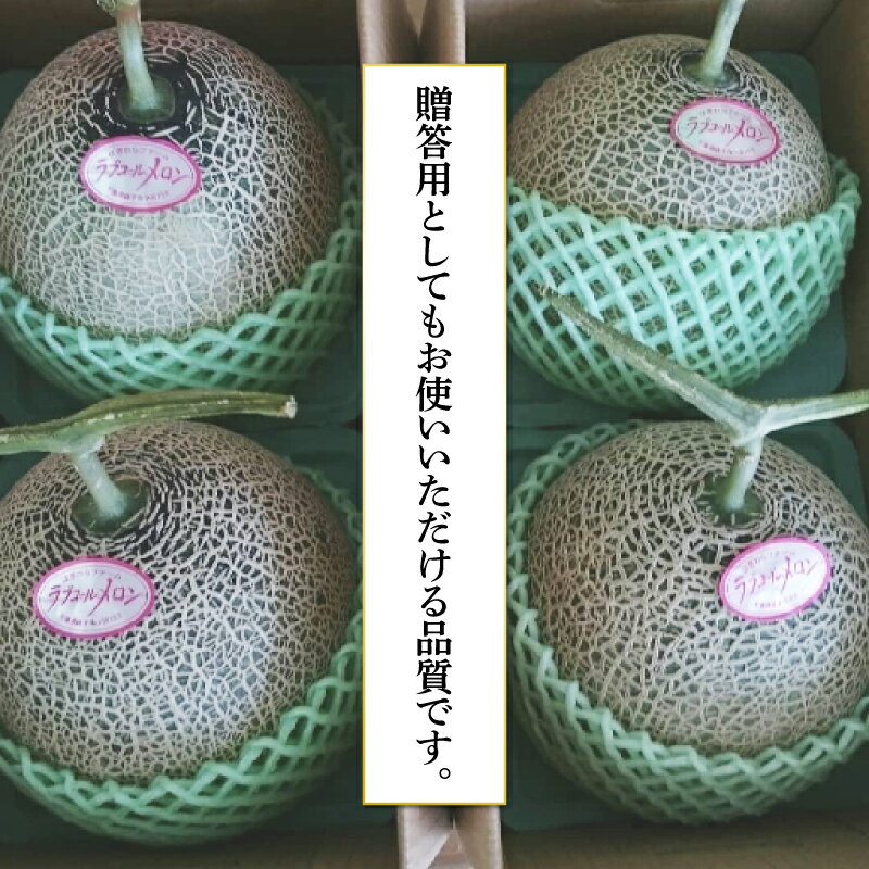 【ふるさと納税】 先行予約 ラブコールメロン 5玉 メロン 果物 フルーツ 糖度 甘い 贈答 プレゼント ギフト ゼリー ジュース フルーツサンド ケーキ シャーベット アイス デザート スイーツ 送料無料 千葉県 銚子市 はぎわらファーム 発送時期 2026年7月〜(なくなり次第終了) サムネイル3