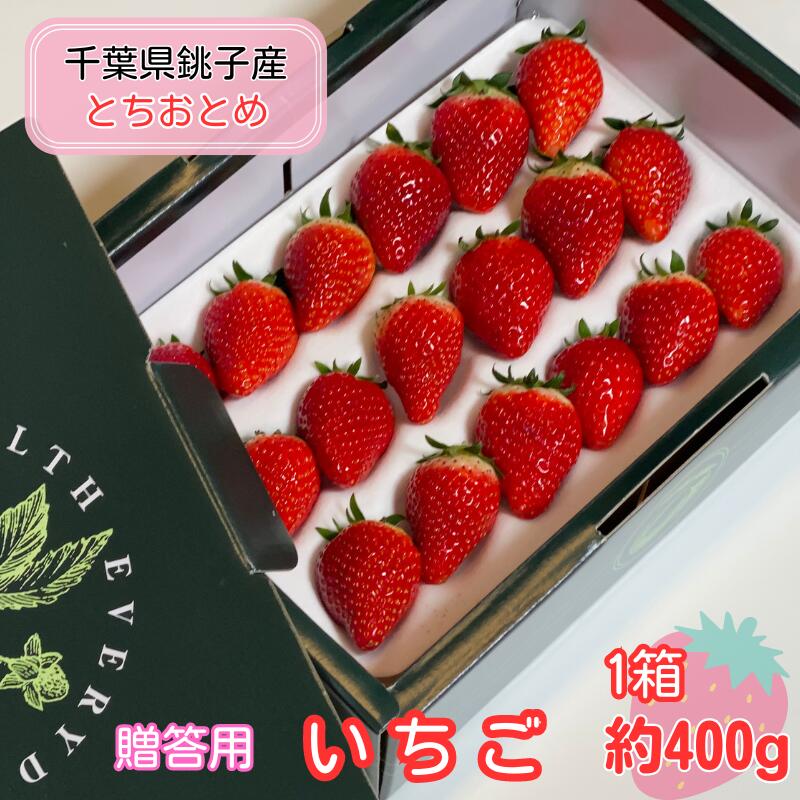 先行予約 贈答用 いちご とちおとめ 1箱 約400g イチゴ 苺 化粧箱 人気 定番 食べやすい 果物 フルーツ ストロベリー ジャム 朝摘み 採れたて 新鮮 産直 安心安全 期間限定 送料無料 千葉県銚子市