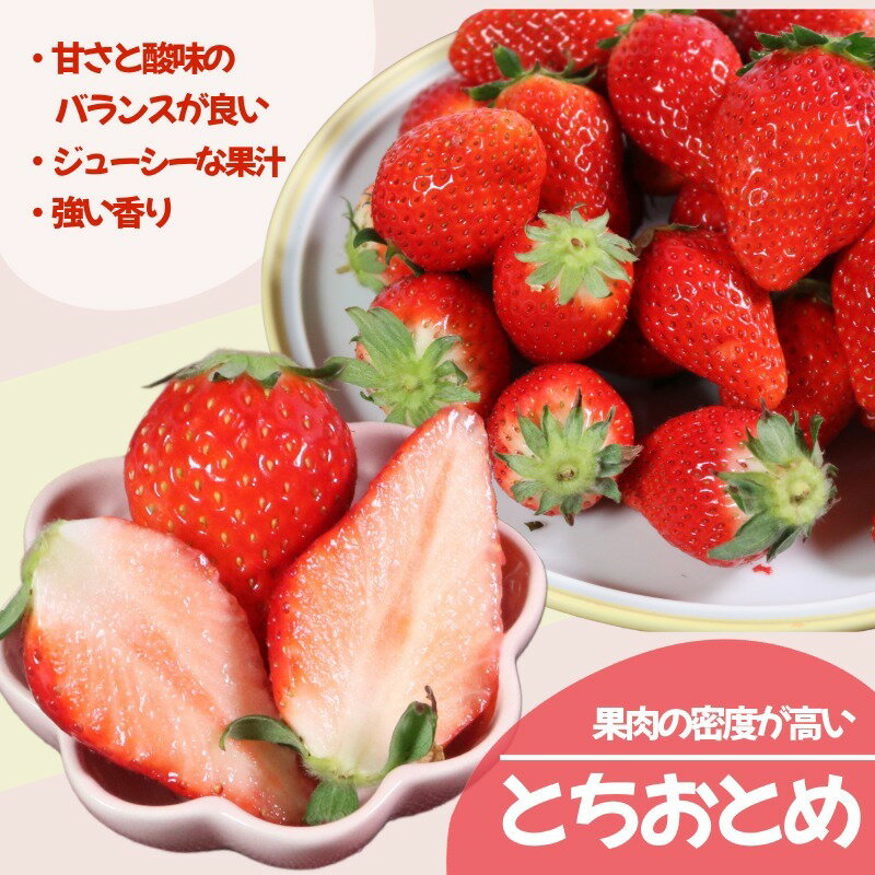 【ふるさと納税】 （先行予約）冷凍いちご 2kg （ 1kg × 2 ） とちおとめ やよいひめ 冷凍イチゴ 神原いちご園 銚子産 苺 いちご イチゴ 真空パック 冷凍 冷凍フルーツ カットフルーツ フルーツ ジャム スムージー 便利 簡単 千葉県 銚子市 サムネイル2