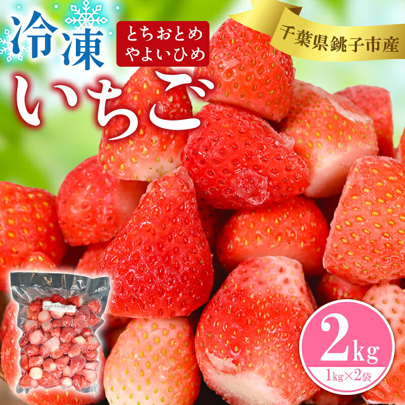 （先行予約）冷凍いちご 2kg （ 1kg × 2 ） とちおとめ やよいひめ 冷凍イチゴ 神原いちご園 銚子産 苺 いちご イチゴ 真空パック 冷凍 冷凍フルーツ カットフルーツ フルーツ ジャム スムージー 便利 簡単 千葉県 銚子市